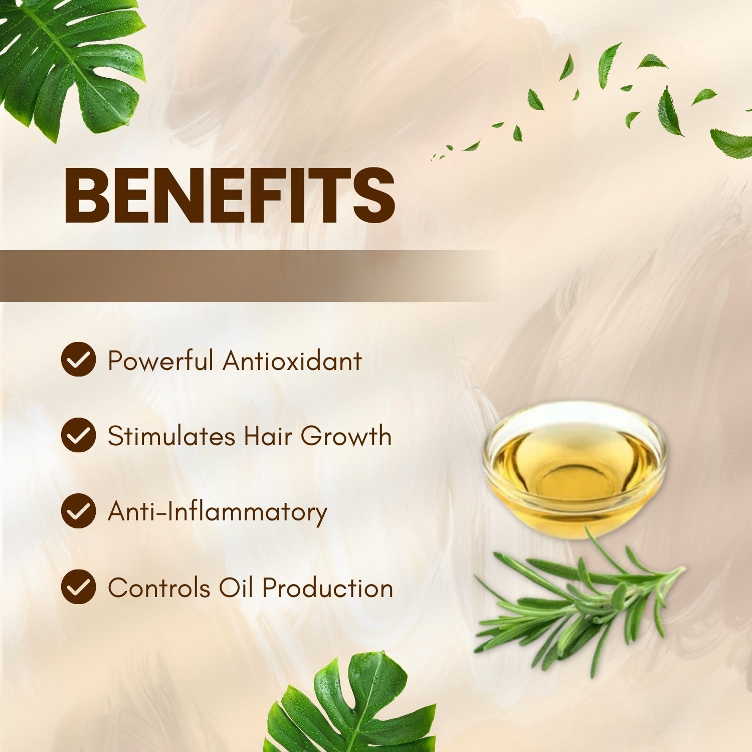 Rosemary Extract Rosemary Extract